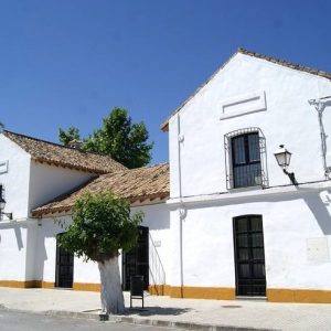 Centro Enogastronómico Olivino de Las Navas en Lucena