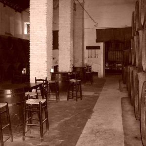 Visita bodegas Sanlúcar de Barrameda