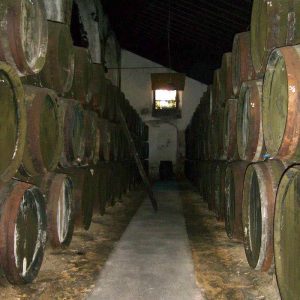Visita bodegas Sanlúcar de Barrameda