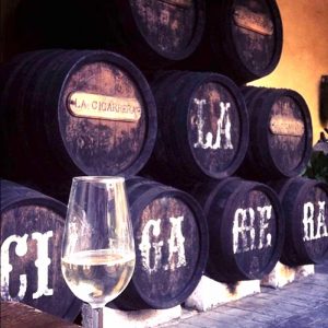 Visita bodegas Sanlúcar de Barrameda