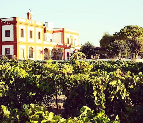 Casa de viña en el Puerto de Santa María en la provincia de Cádiz