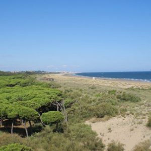 Playa de la Gola Isla Cristina