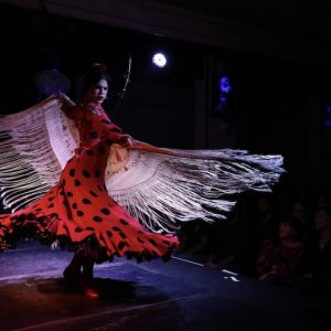 Flamenco en Jerez de la Frontera