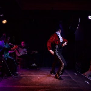 Flamenco en Jerez de la Frontera