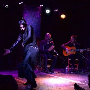 Flamenco en Jerez de la Frontera