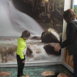 Museo de la Naturaleza del Valle del Alberche