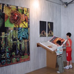 Museo de la Naturaleza del Valle del Alberche