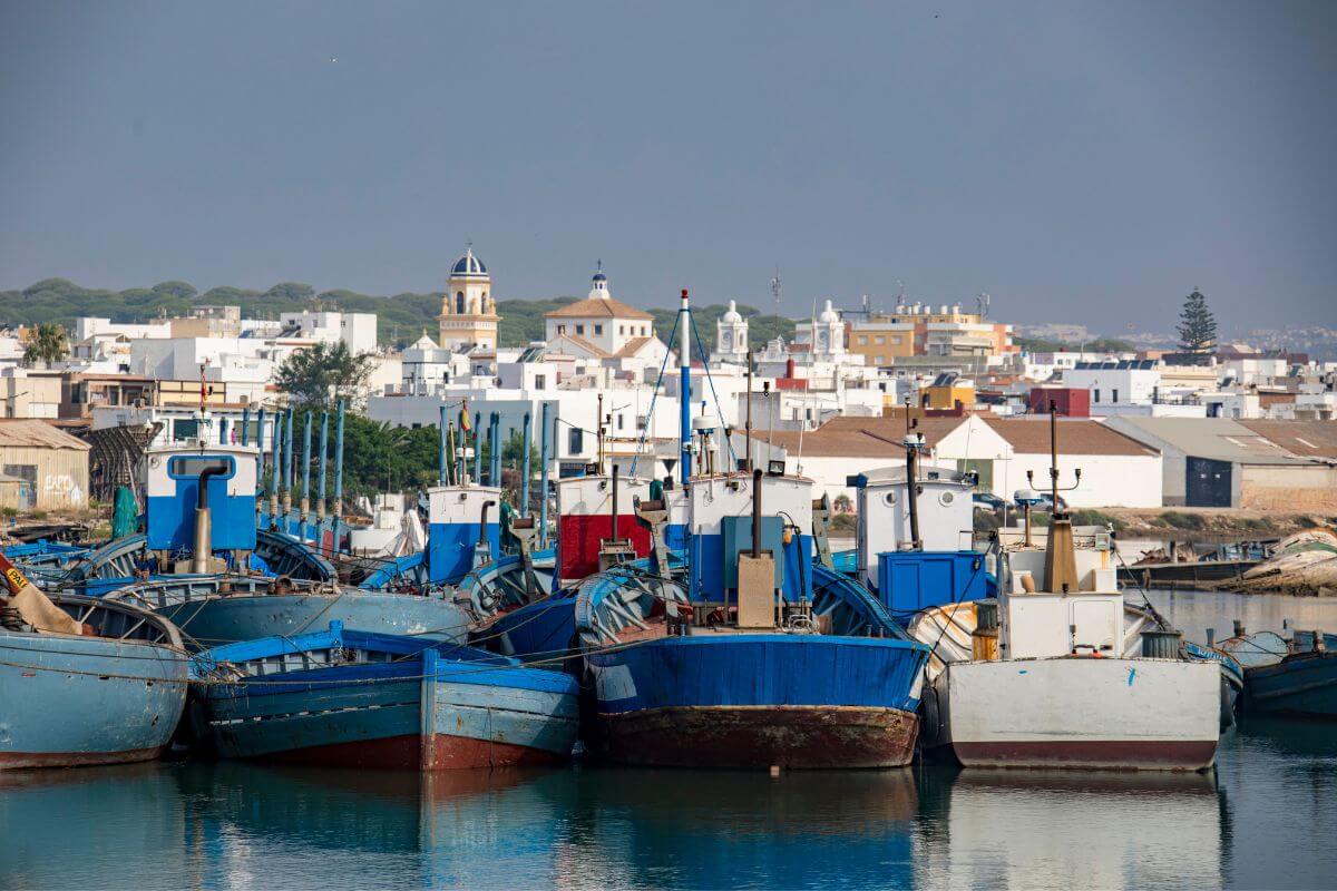 Donde comer en Barbate