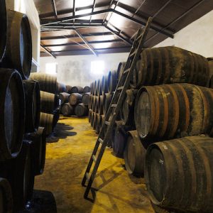 Bodegas Los Patios