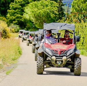 MIJAS BUGGYS