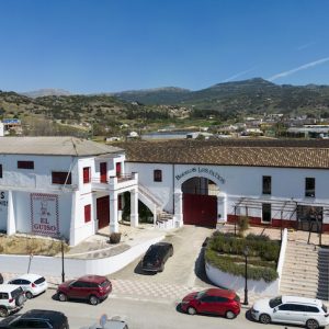 Bodegas Los Patios