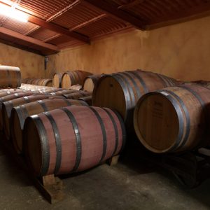 VISITA GUIADA LERMA