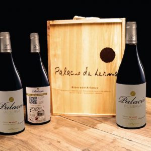 VISITA GUIADA LERMA