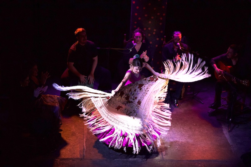 Bailaora-de-flamenco-actuando-en-la-Guarida-del-del-Angel-en-Jerez-de-La-Frontera-