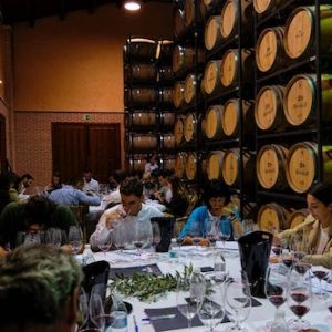 VISITA BODEGA BURGOS