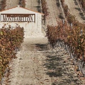 VISITA BODEGA BURGOS