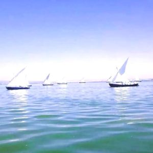 Paseo en barca por la Albufera