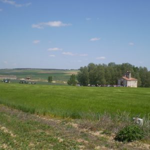 Qué ver en Villaverde de Medina