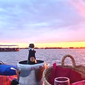 Paseo en barca por la Albufera