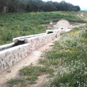 Qué ver en Villaverde de Medina