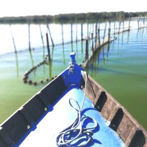 La Albufera de Valencia
