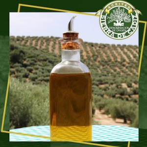 Catas de aceite en Olvera