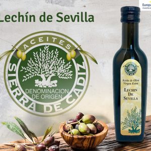 Catas de aceite en Olvera