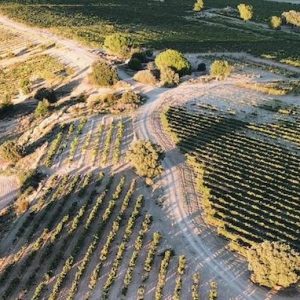 Bodegas en Nava de Roa
