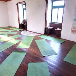 Terapia Vibracional