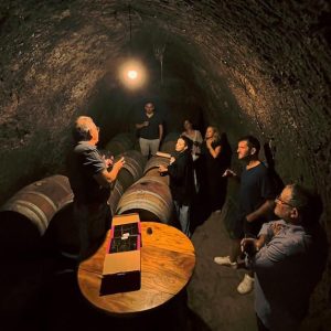 Bodegas en Nava de Roa