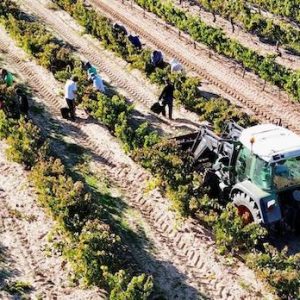 Bodegas en Nava de Roa