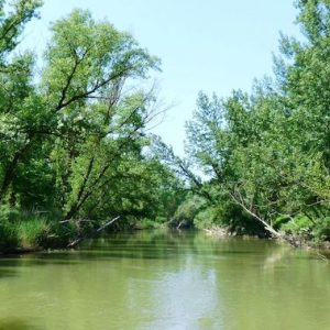 La senda del duero en Quintanilla de Onésimo