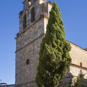 Qué ver en Castrillo de la Vega