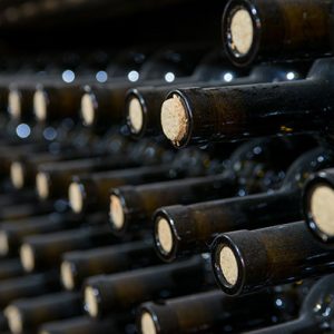Visita bodega San Esteban de Gormaz