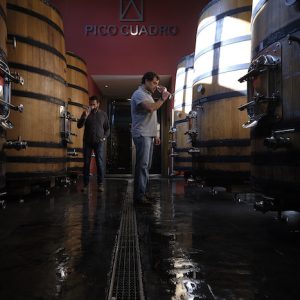 Bodega en Quintanilla de Onésimo