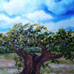 Visita bodega San Esteban de Gormaz