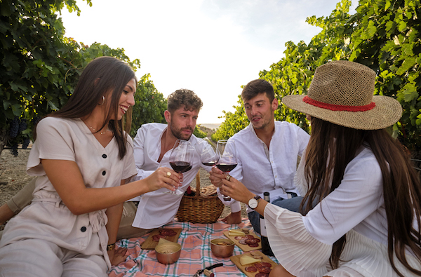 Descubre la magia de Ribera del Duero con bodegas Monteabelló