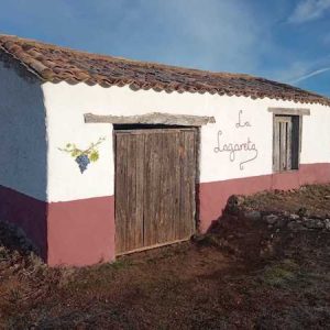Visita bodega San Esteban de Gormaz
