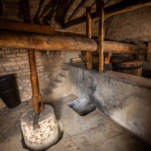 Visita bodega San Esteban de Gormaz