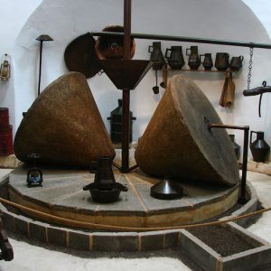 Visita guiada Olivenza