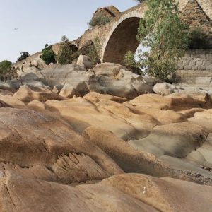 Visita guiada Olivenza