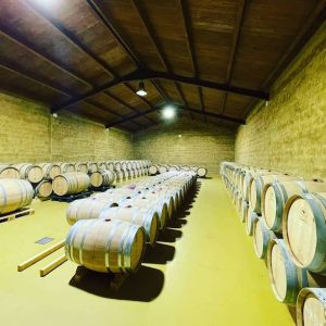 Bodegas en Sotillo de la Ribera