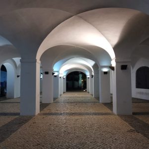 Visita guiada Olivenza