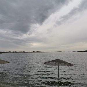 Visita guiada Olivenza