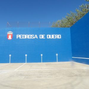 Qué ver en Pedrosa de Duero