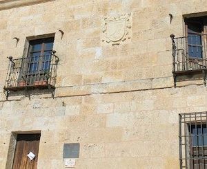 El palacio de Guzman