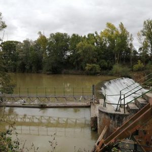 Sendero en Villalba de Duero