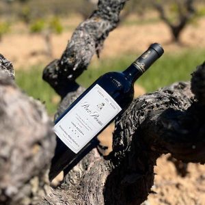 Bodega Pedrosa de Duero