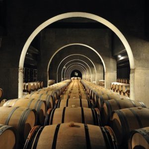 Bodega Pago de los Capellanes