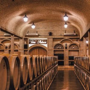 Bodega Pedrosa de Duero